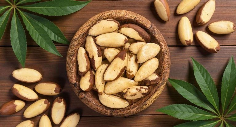 Noix du Brésil dans un bol en bois sur une table naturelle