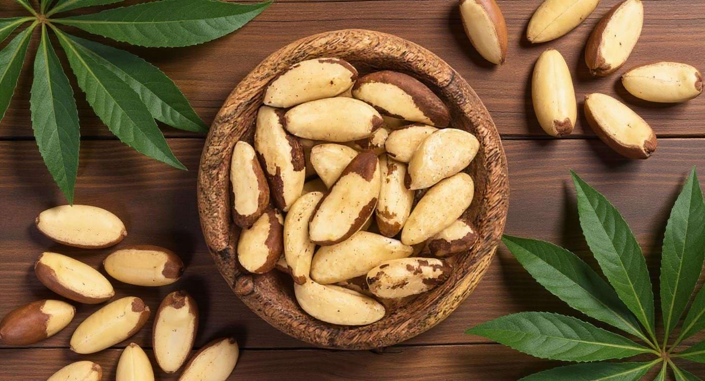 Noix du Brésil dans un bol en bois sur une table naturelle