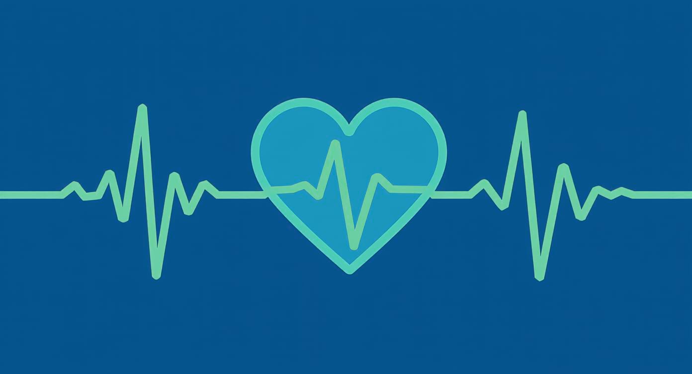 Schéma symbolique du lien entre respiration et rythme cardiaque.