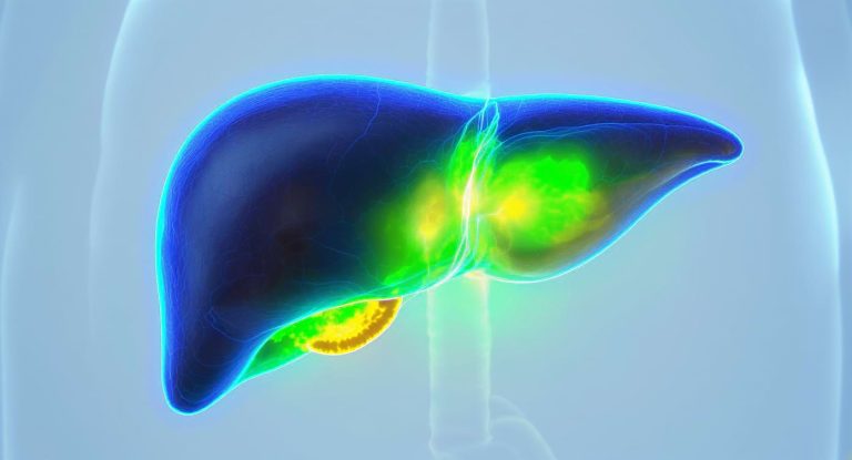 Illustration du foie et de l’enzyme Gamma GT élevée