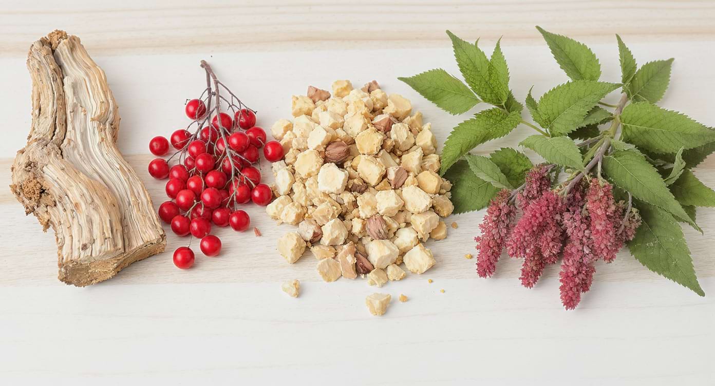 Mélange de pygeum, palmier nain, ortie et épilobe sur une table en bois, symbolisant les plantes bénéfiques pour la prostate.