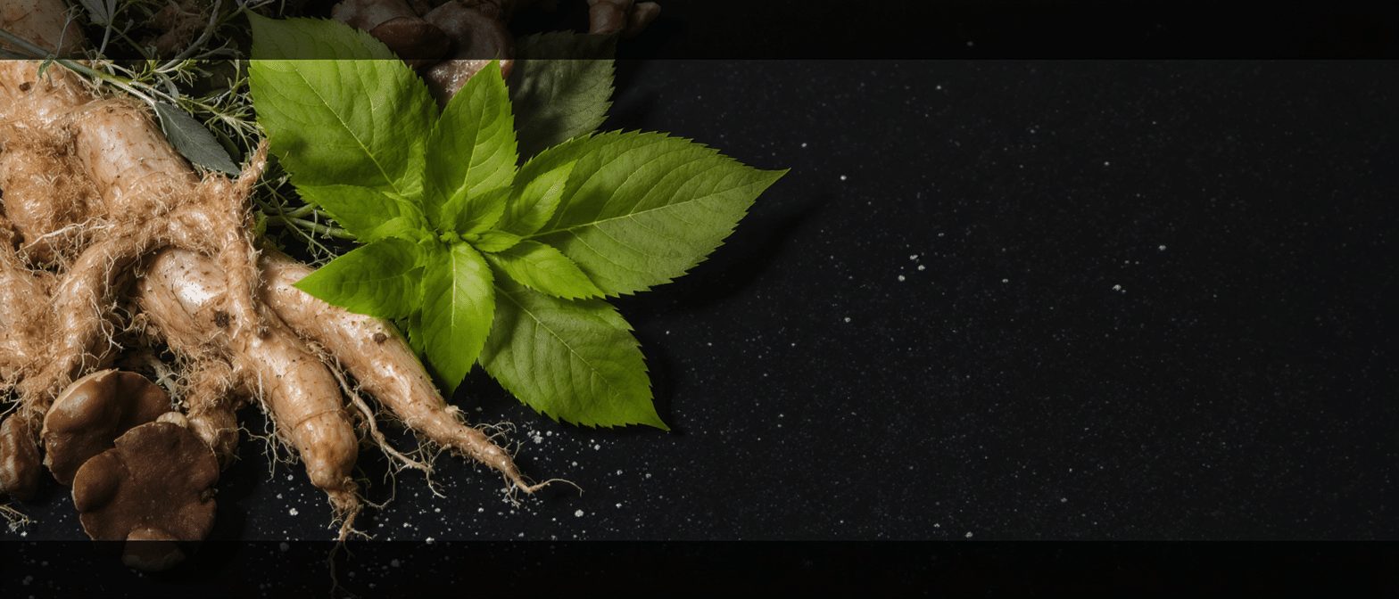 Racines et feuilles de plantes adaptogènes disposées sur un fond sombre.