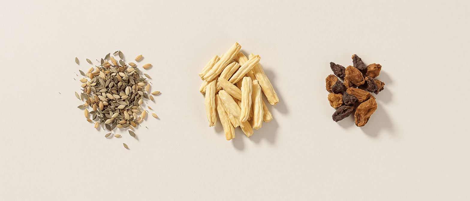 triphala-amla-haritaki-bibhitaki-poudre-seche Ingrédients du Triphala – graines, racines séchées et fruits indiens traditionnels