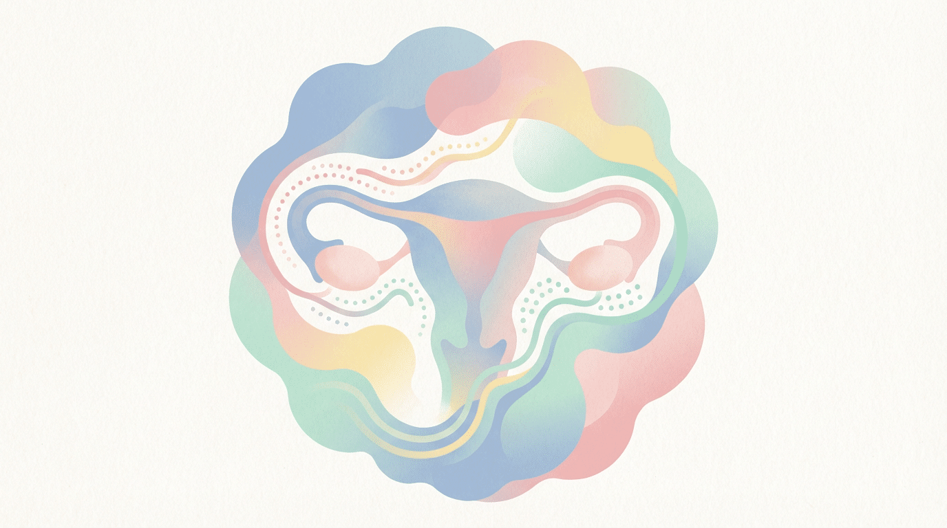 Illustration simplifiée du cycle menstruel et de l’action hormonale sur l’ovulation.