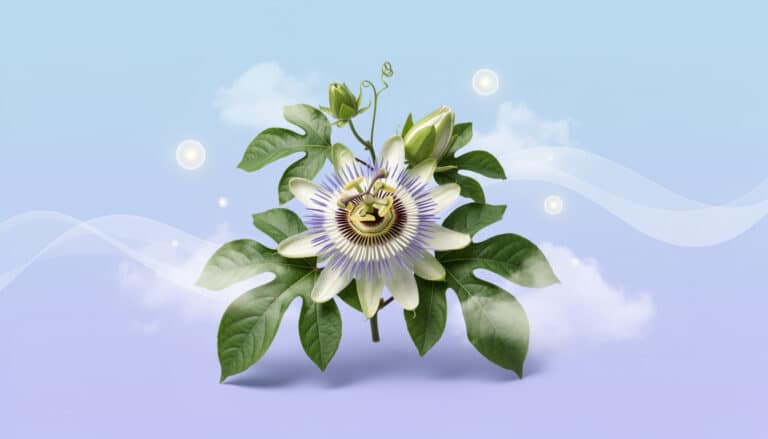 découvrez les bienfaits de la passiflore pour réduire l'anxiété, améliorer le sommeil et ses nombreuses propriétés médicinales naturelles.