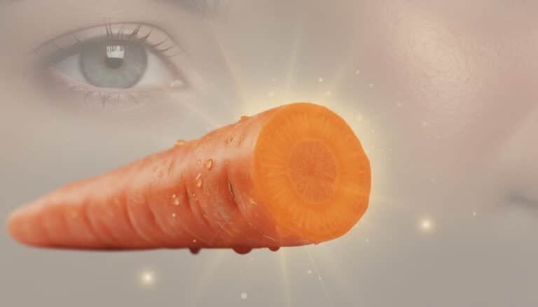 Carotte fraîche tranchée montrant sa chair orange riche en bêta-carotène, avec un œil symbolisant la vision